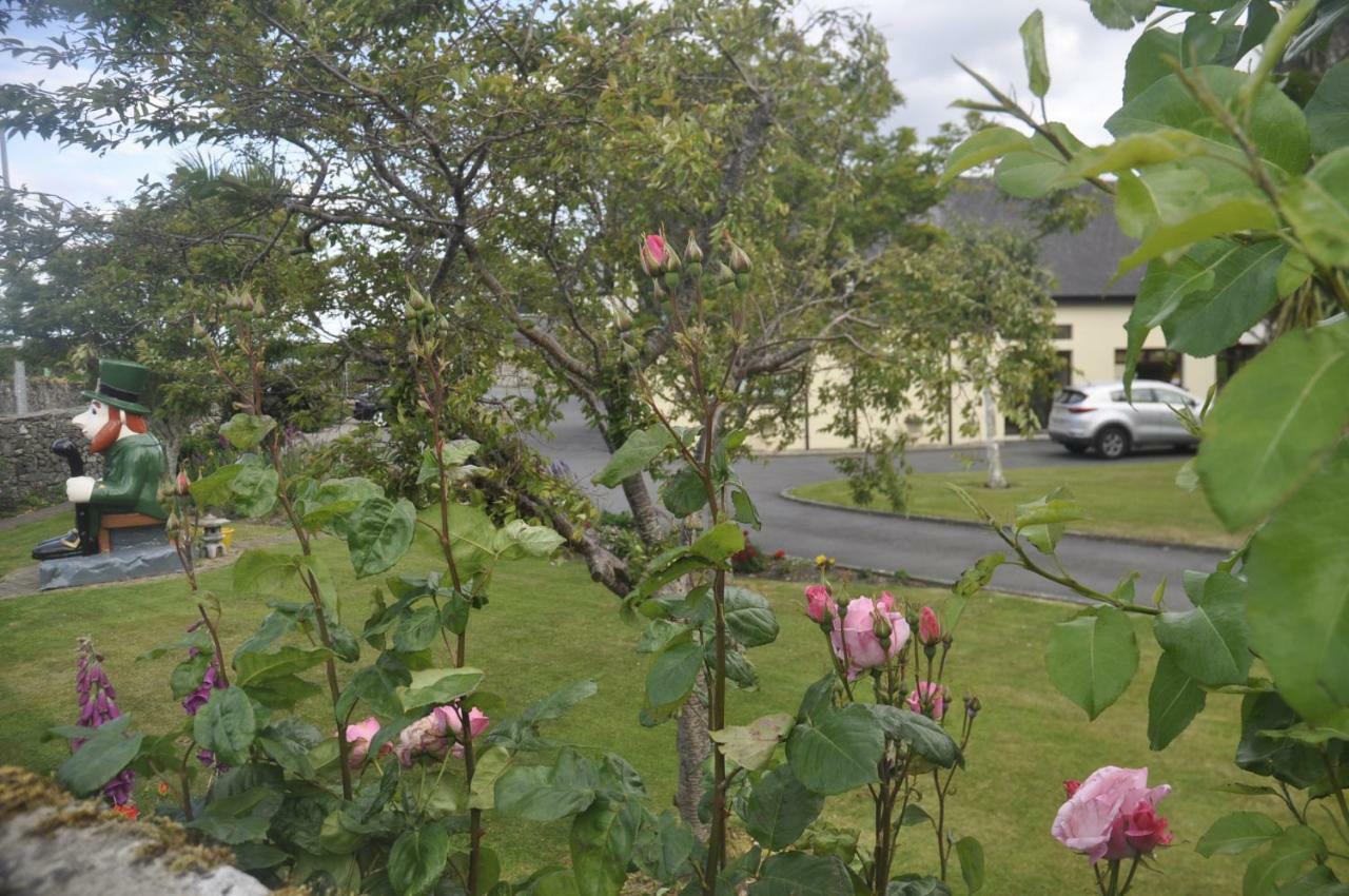 Shalom Bed & Breakfast Carlingford Exterior photo